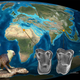Illustration for article titled Our ancestors may have originated in Asia, not Africa